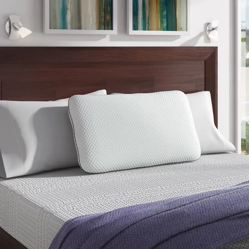 New Wayfair Sleep™ Memory Foam Medium Support Pillow in KING! 1 Pillow! Retails $89 