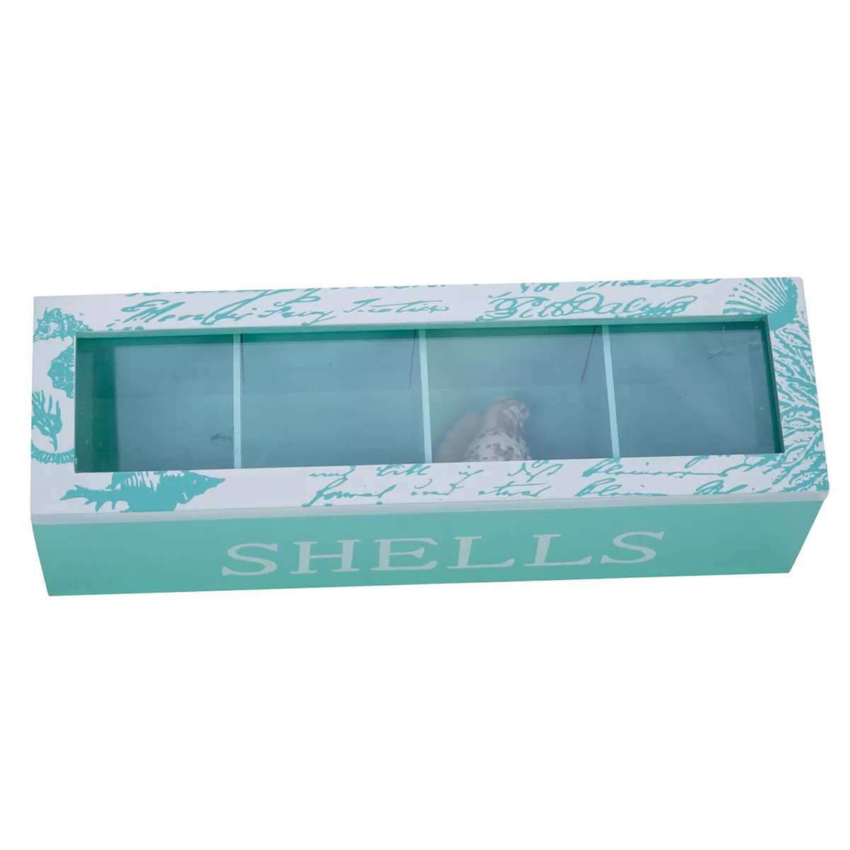 Rectangular Shell Collecting Box