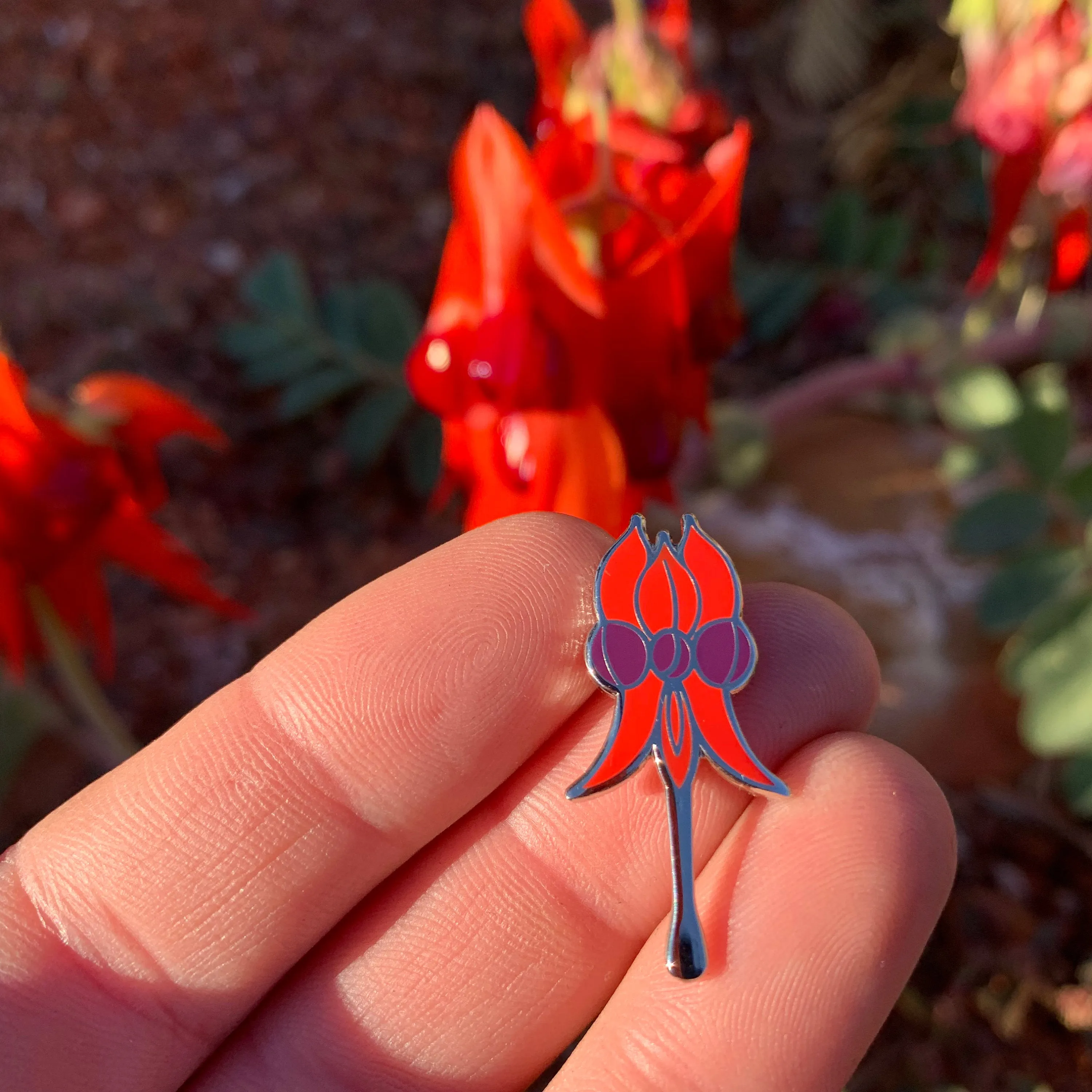 Sturt Desert Pea pin