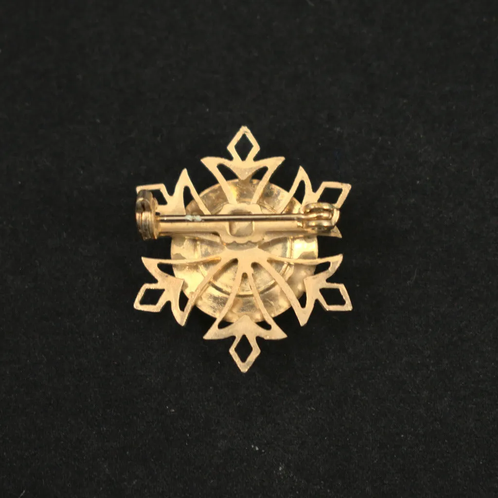 Vintage Rose Enamel Pin & Earring Set