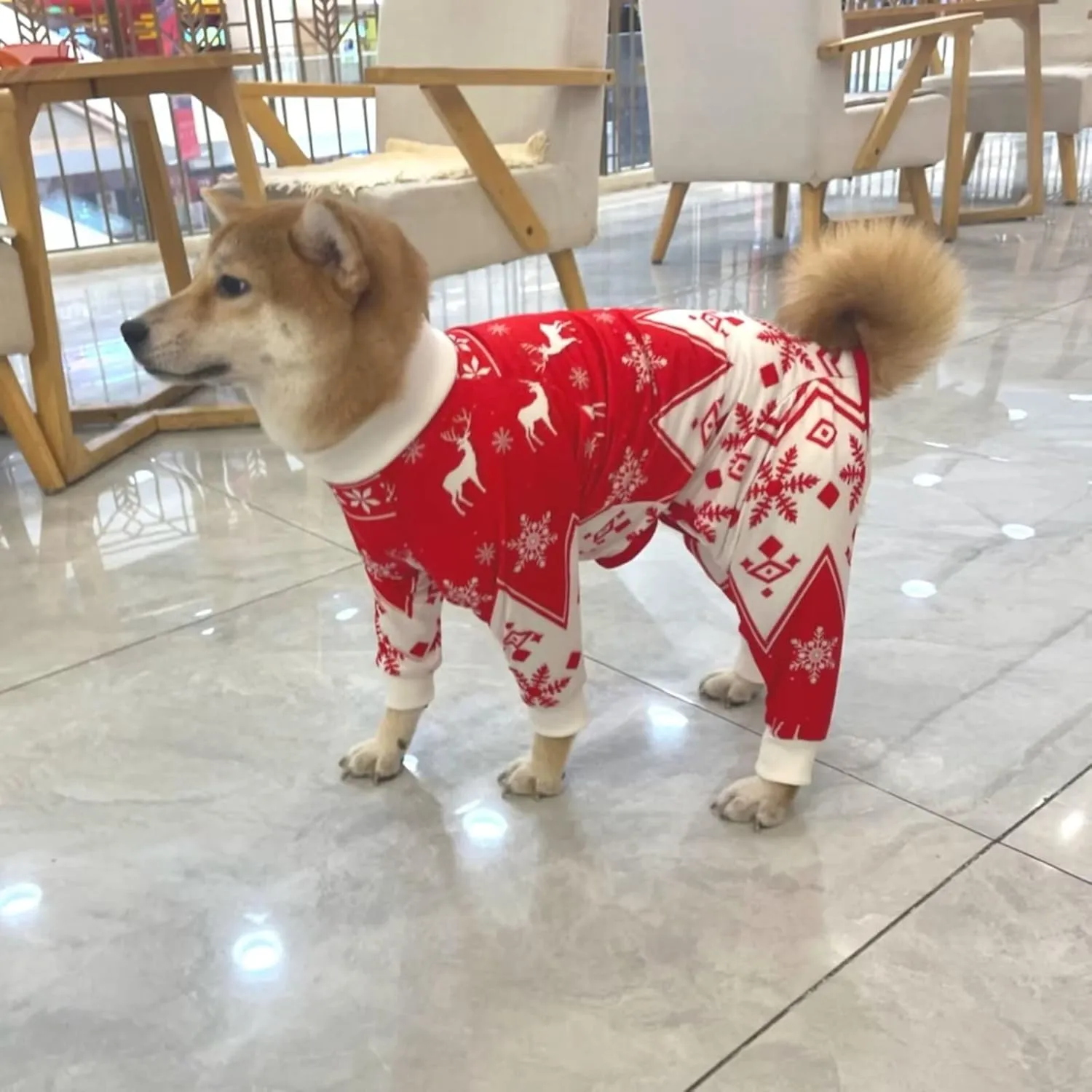 Xqpetlihai Christmas Dog Clothes Dog Onesie Surgery Recovery Suit Dog Pajamas for Large and Medium Dog (S,CH)