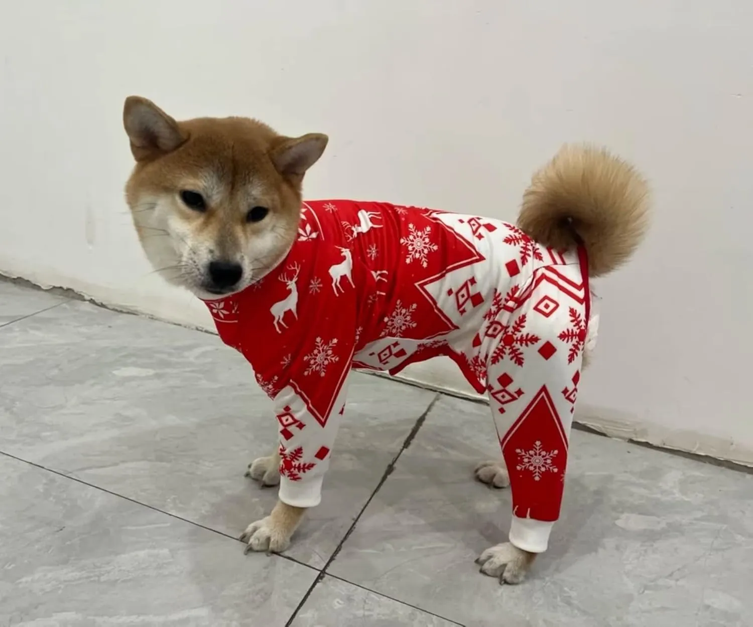 Xqpetlihai Christmas Dog Clothes Dog Onesie Surgery Recovery Suit Dog Pajamas for Large and Medium Dog (S,CH)